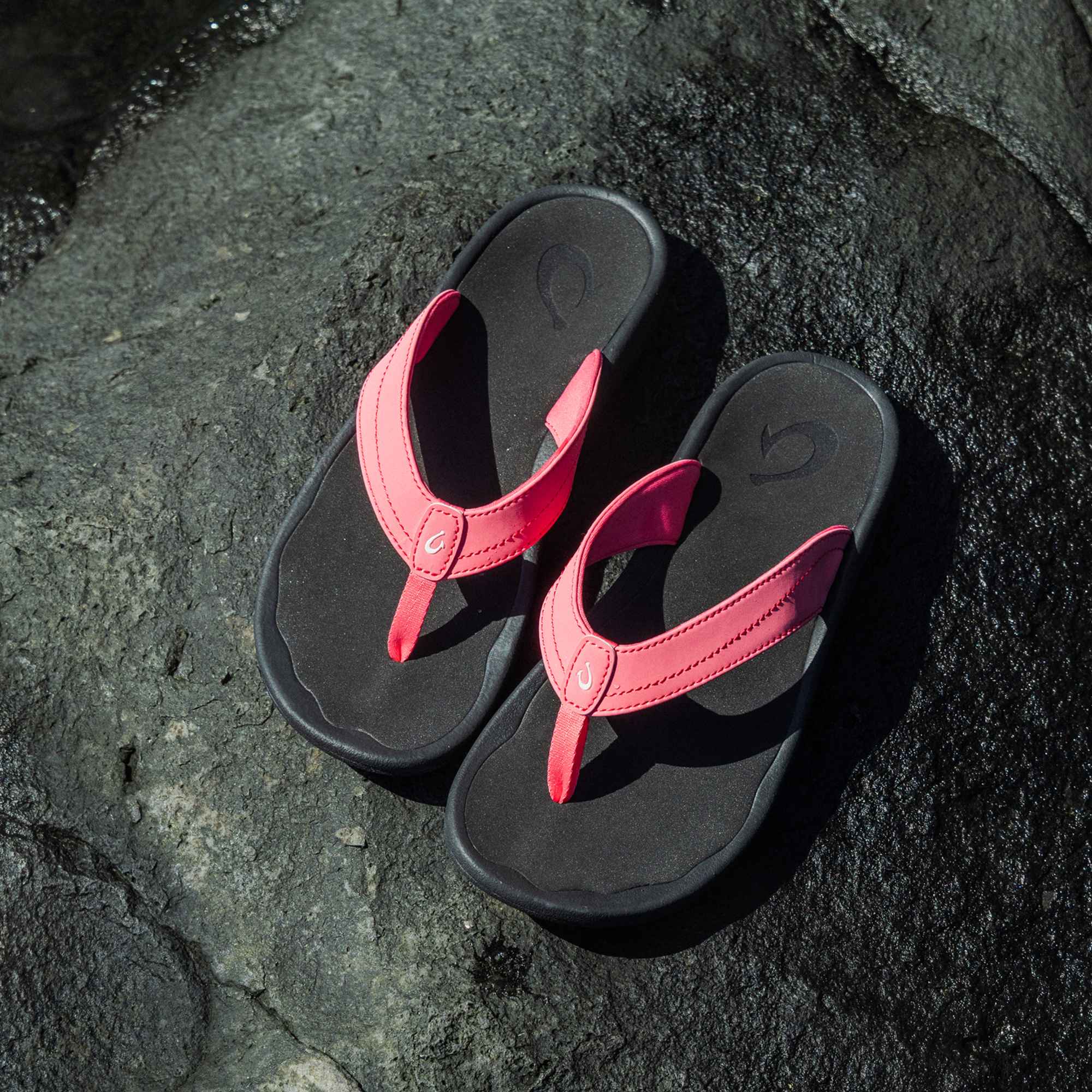‘Ohana -  Hot Pink / Black - Image 2