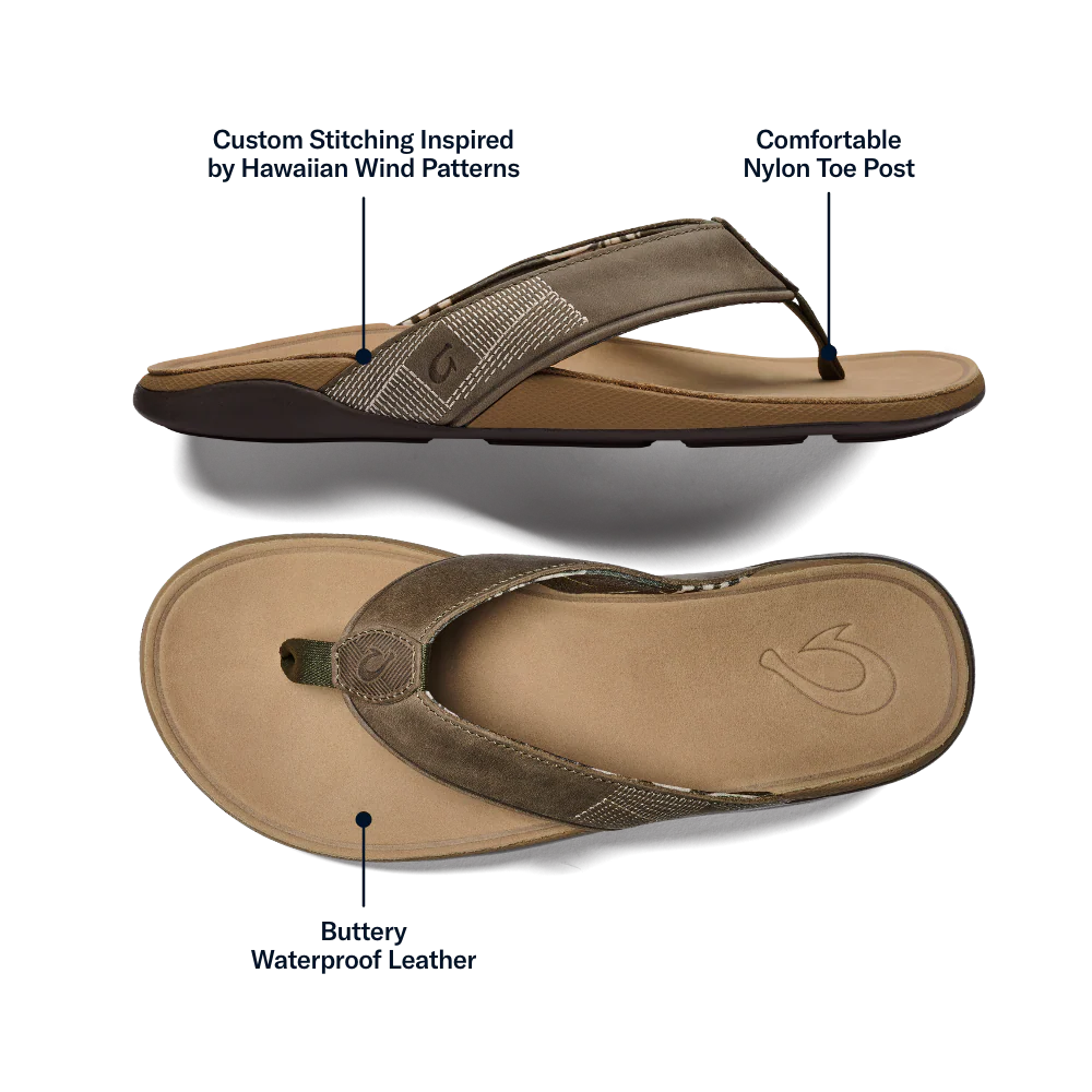 Tuahine - Hunter / Golden Sand - Image 4